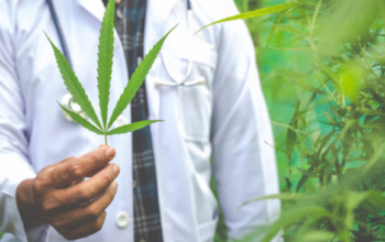 cannibis dispensary payment