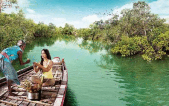 sundarban tour package from Kolkata