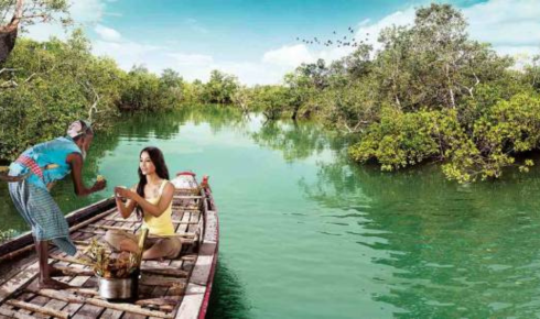Sundarban Tour Package from Kolkata: A Perfect Blend of Adventure and Nature