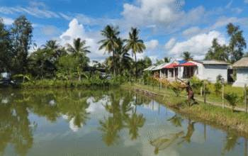 sundarban trip