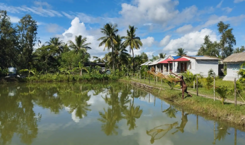 Experience the Untamed Beauty of Nature with a Sundarban Trip