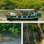 Sundarban package