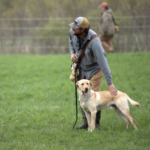 dog training blog