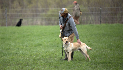 Master Dog Training Blog: Tips for Obedient Canines