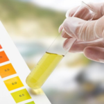 professional water testing