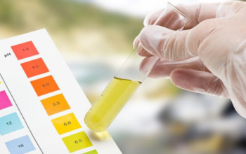 professional water testing