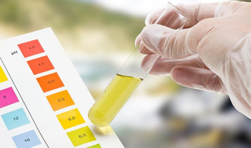 professional water testing